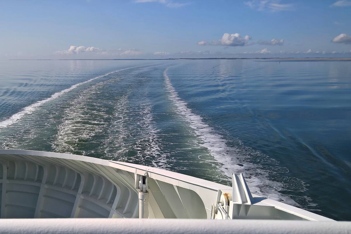 Identifican a pasajero desaparecido de un ferry; era residente de Ciudad Obregón