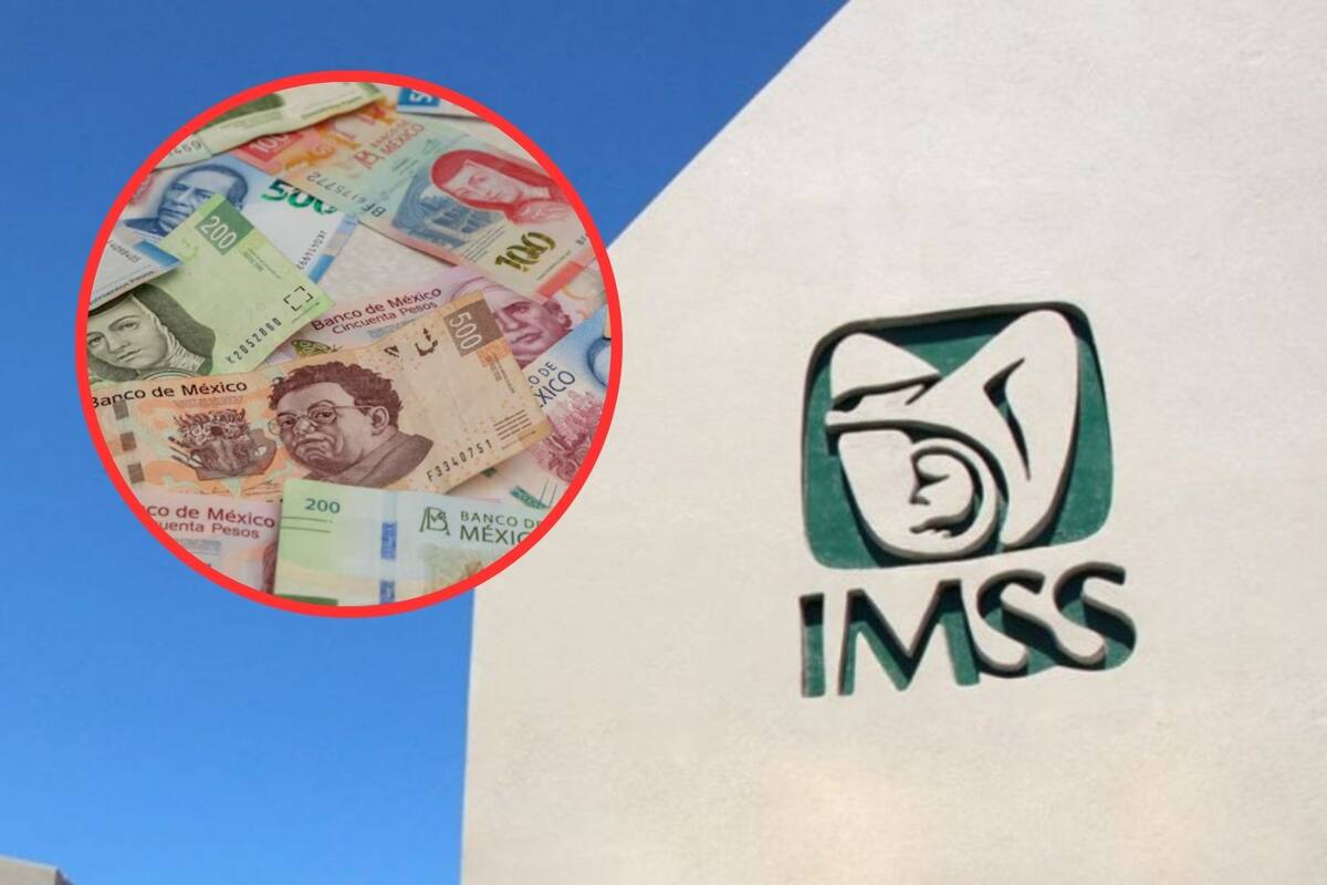 ¿Cómo saber si te toca el doble pago de la pensión del Seguro Social a finales de agosto?