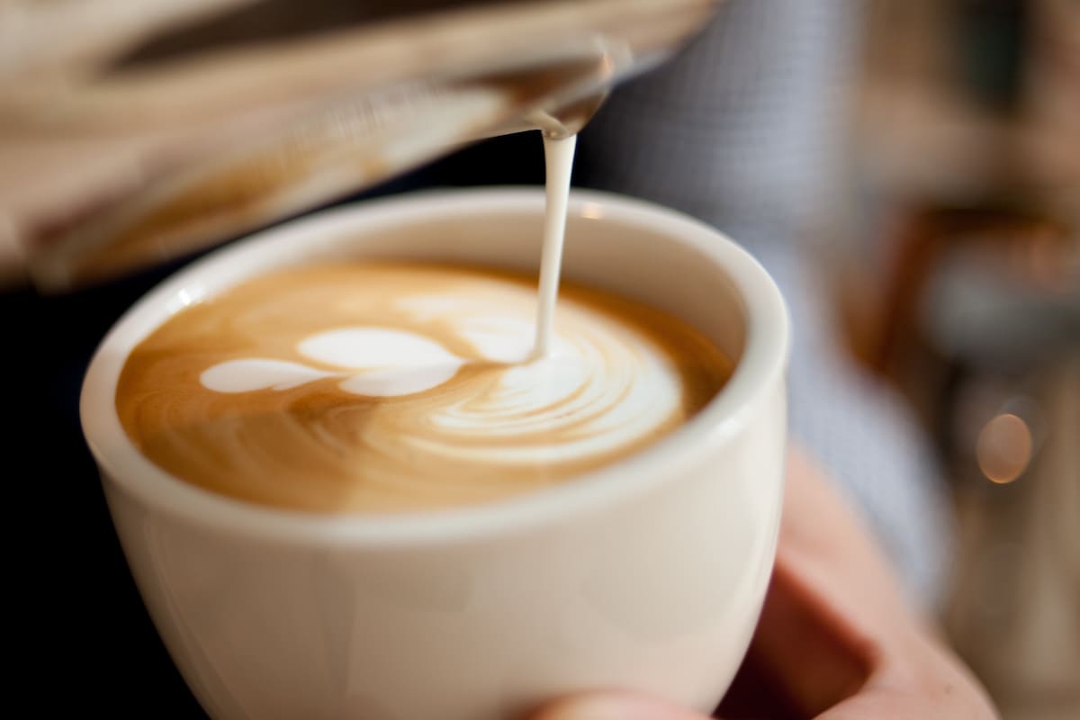Alternativas saludables al café para mantener la energía durante el día, según Harvard