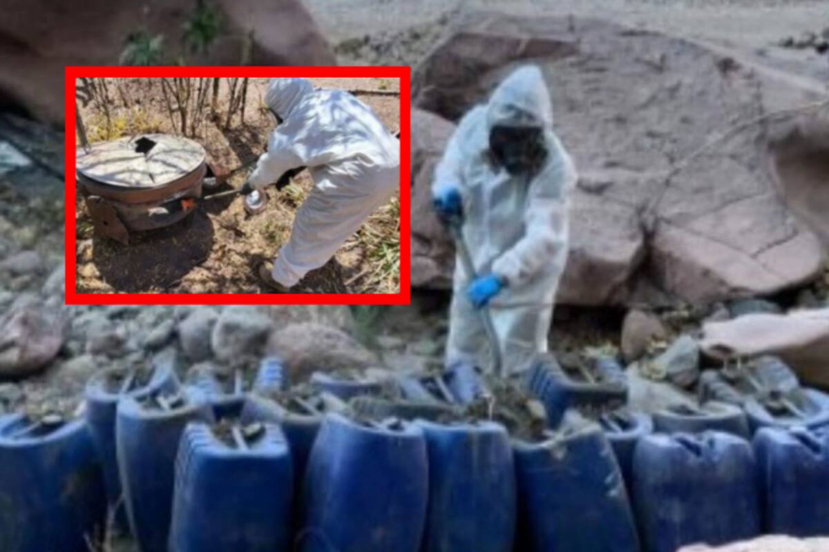 Golpe al narcotráfico: Desmantelamiento de 9 laboratorios clandestinos en Culiacán y Cosalá