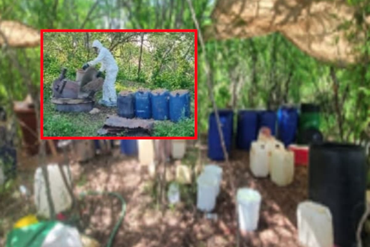 Golpe al narco en Sinaloa: destruyen laboratorio clandestino y zona de químicos en Culiacán y Cosalá