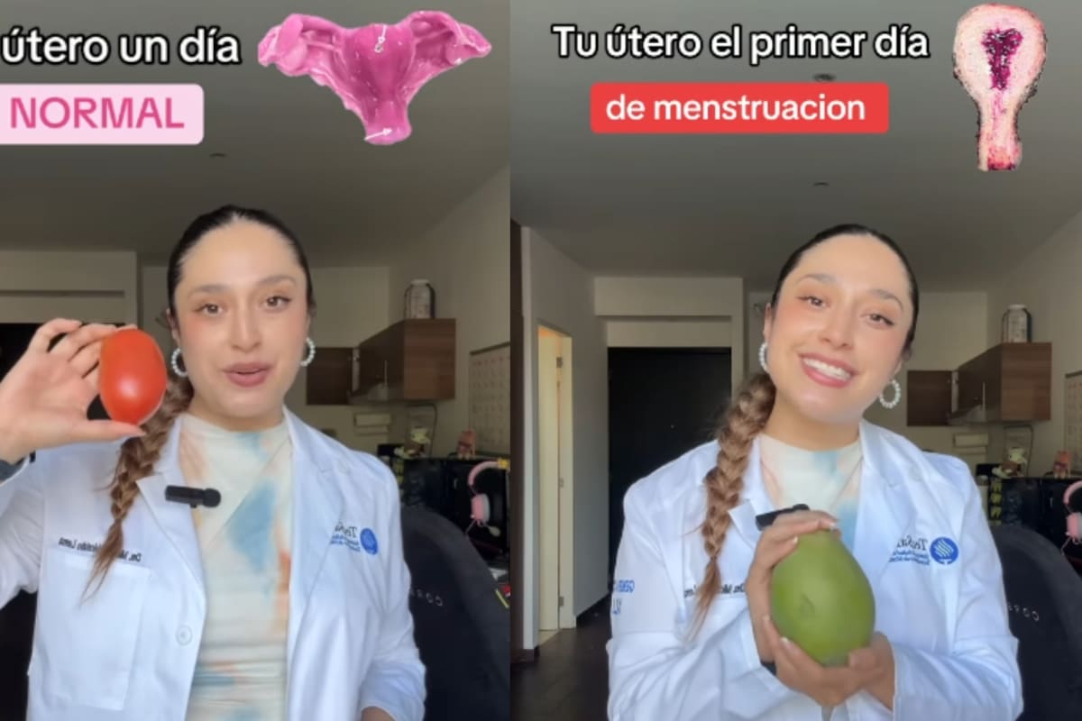 “Ahora todo tiene sentido”: mujer se vuelve viral al mostrar con frutas cómo cambia el útero durante la menstruación