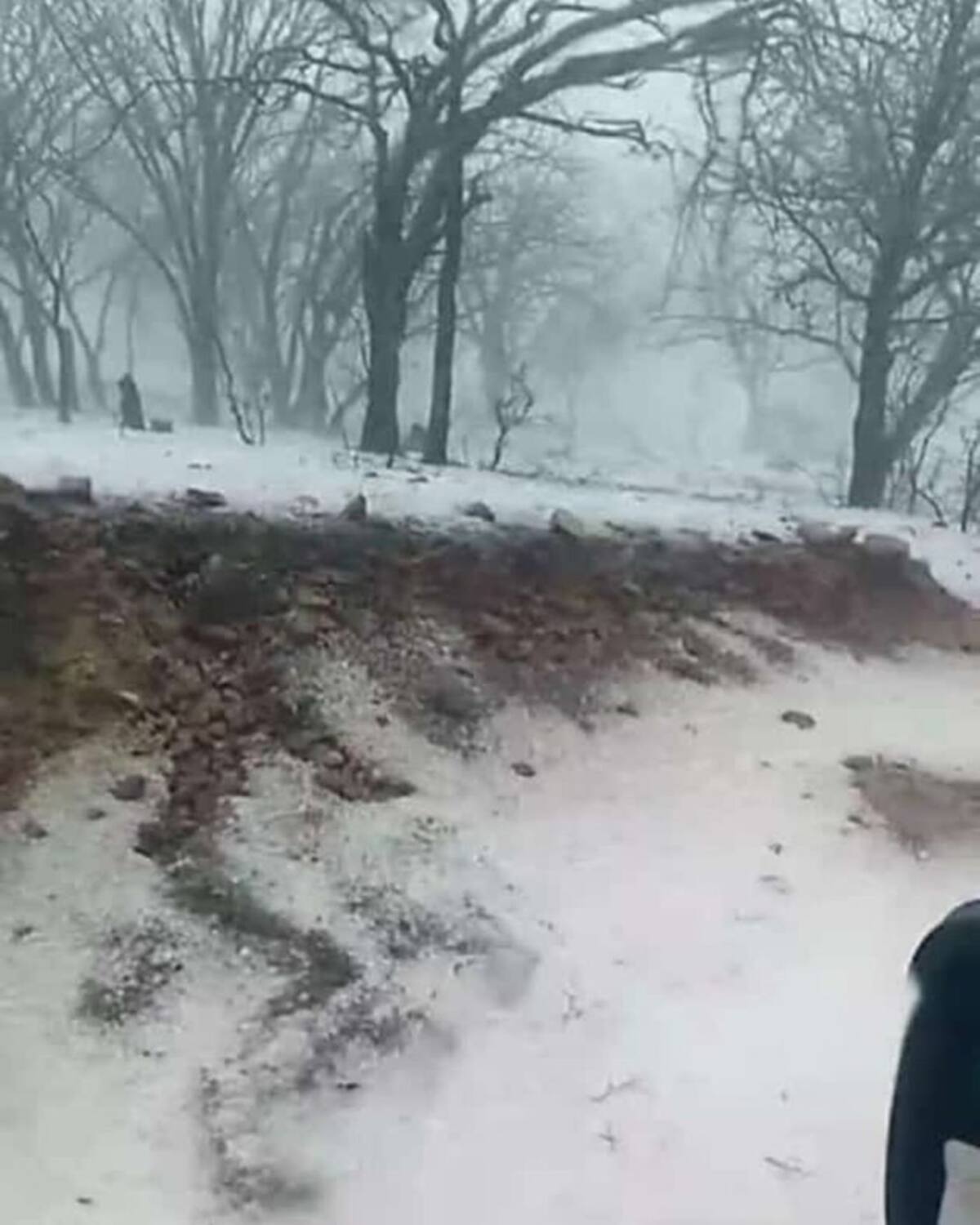 Naturaleza asombrosa: Sahuaripa se viste de invierno en pleno verano debido a una inusual tormenta de granizo.