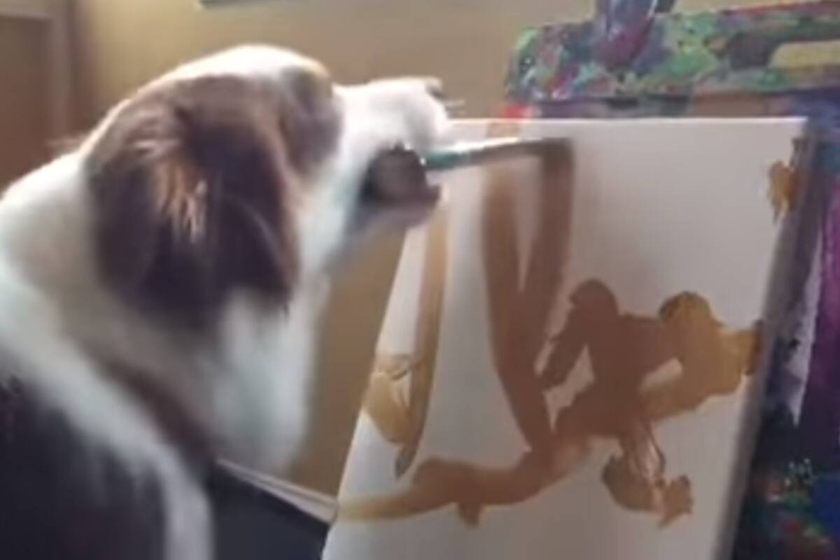 Gana 400 mil pesos vendiendo obras de arte pintadas por su perrito