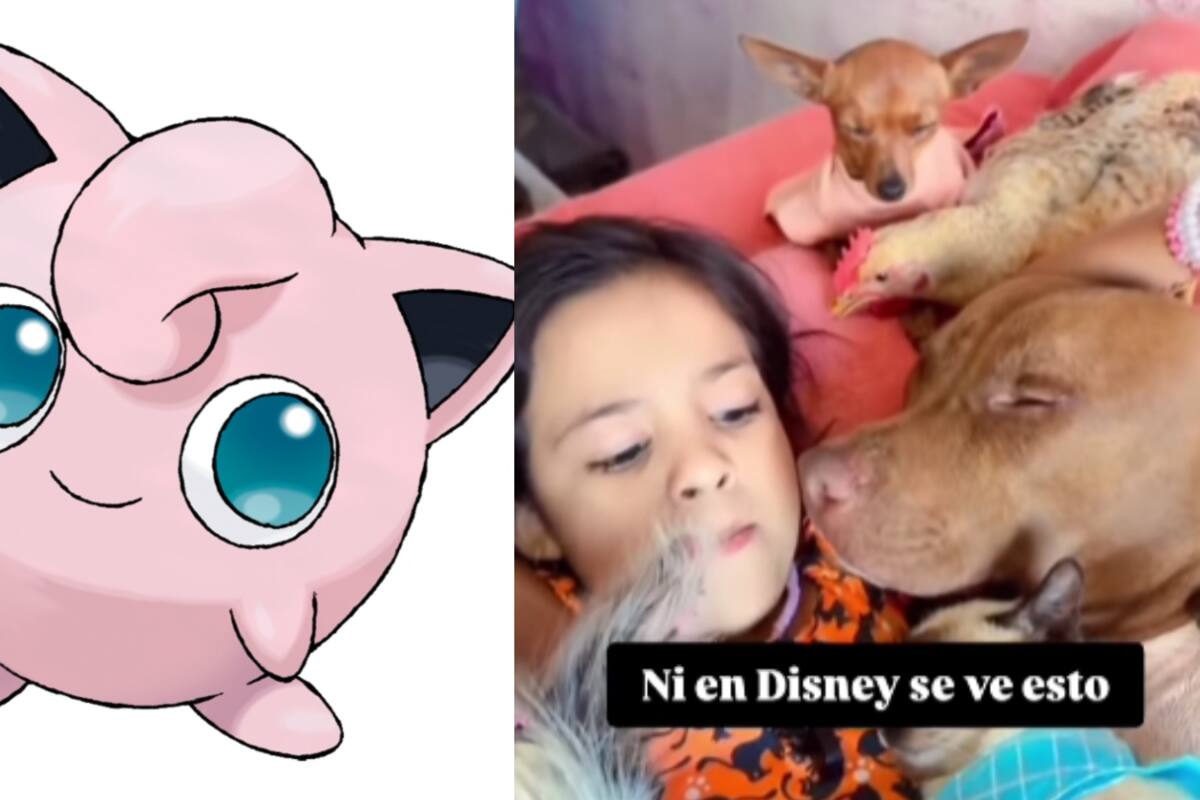 ‘Es la Jigglypuff de la vida real’: Niña causa sensación por arrullar a animales con su voz