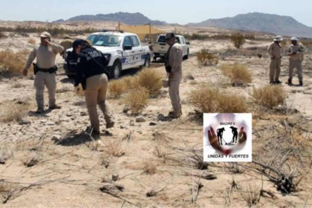 Localizan restos humanos en la Laguna Salada durante jornada de búsqueda