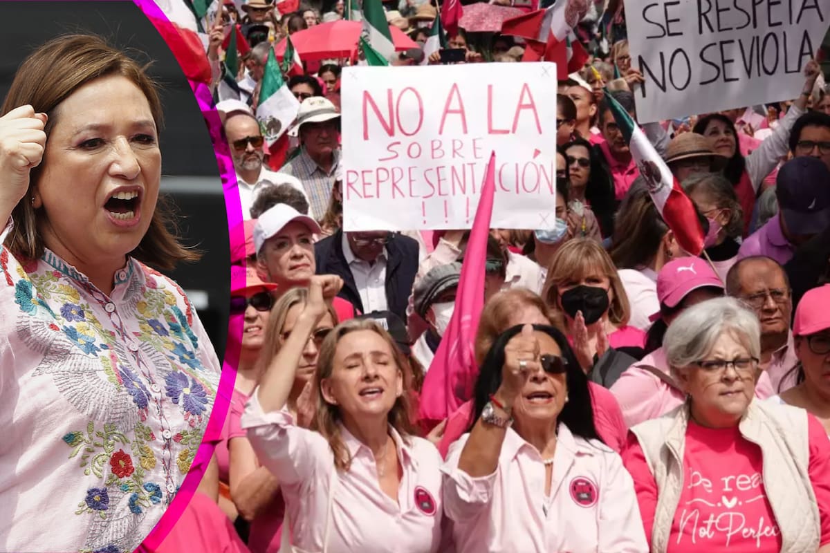 Marea Rosa: ¿Quiénes fueron a la protesta contra la sobrerepresentación en el INE?