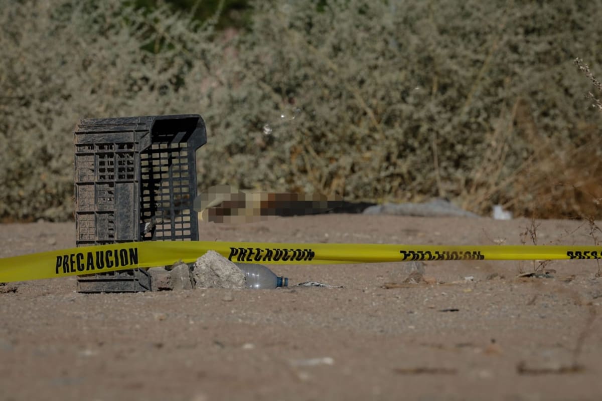 Encuentran muerto a adulto mayor en un lote baldío de la Zona Dorada de Mexicali