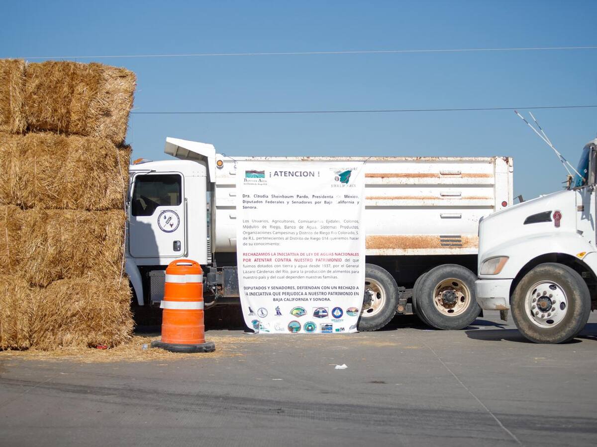 Foto: Juan Jesús Morales