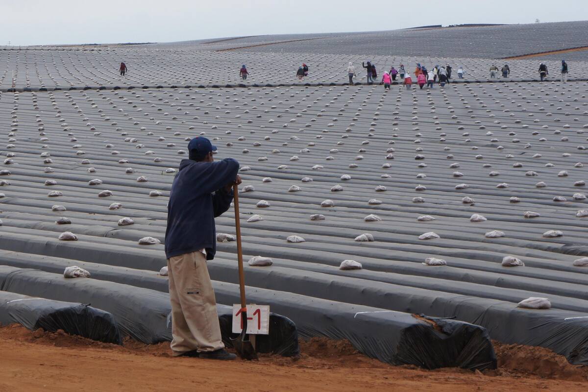 Realizan colecta para comunidad agrícola de San Quintín