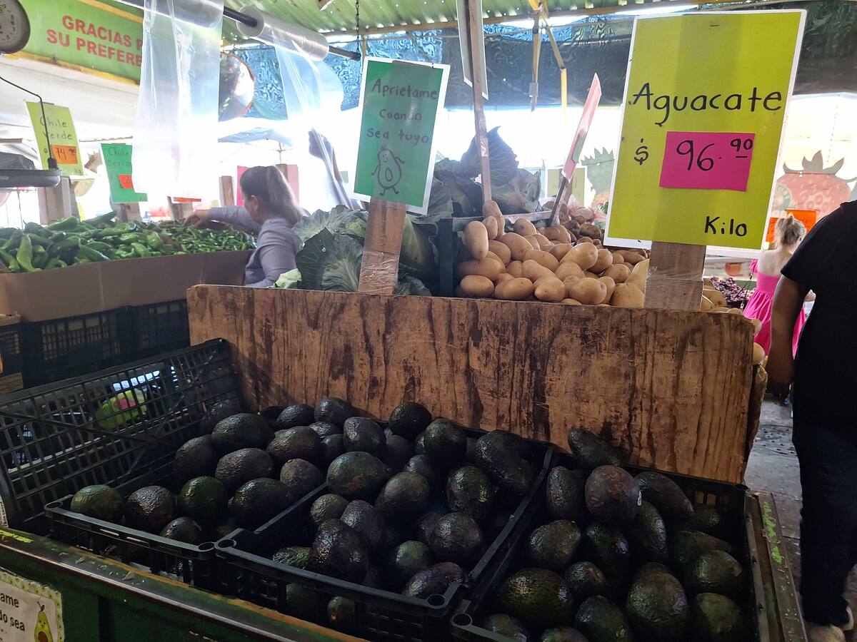 La escasez de productos y el incremento en sus precios se debe principalmente a la sequía, aseguran. FOTO: LEONOR HERNÁNDEZ