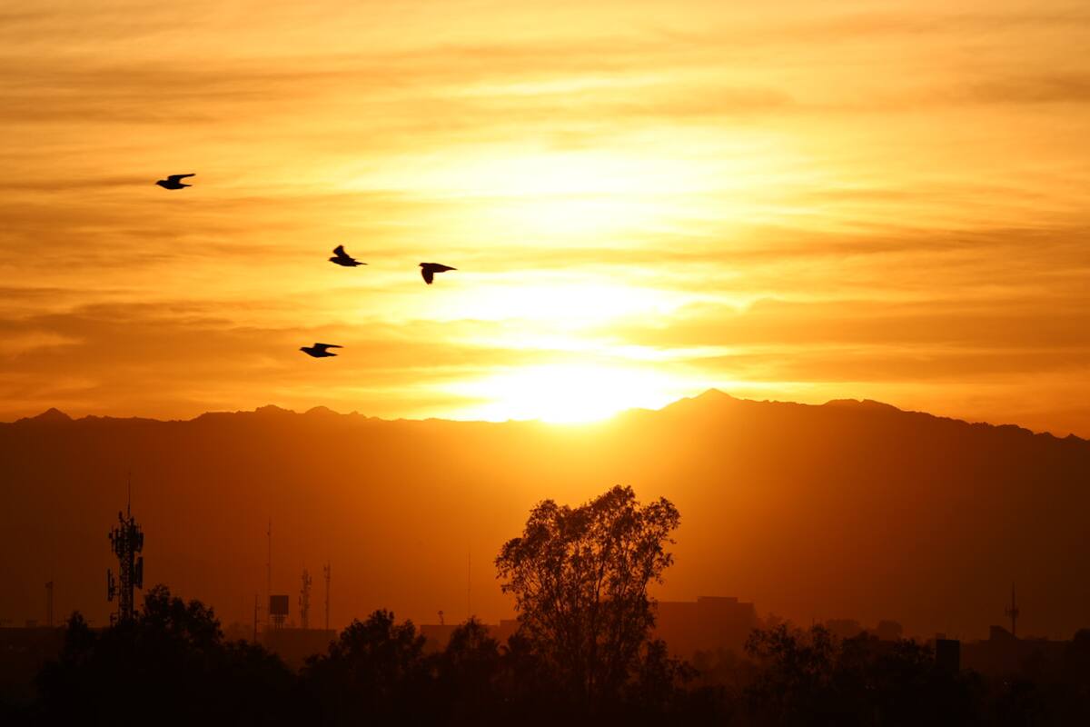 Próxima semana habrá días soleados y máximas de 36 grados