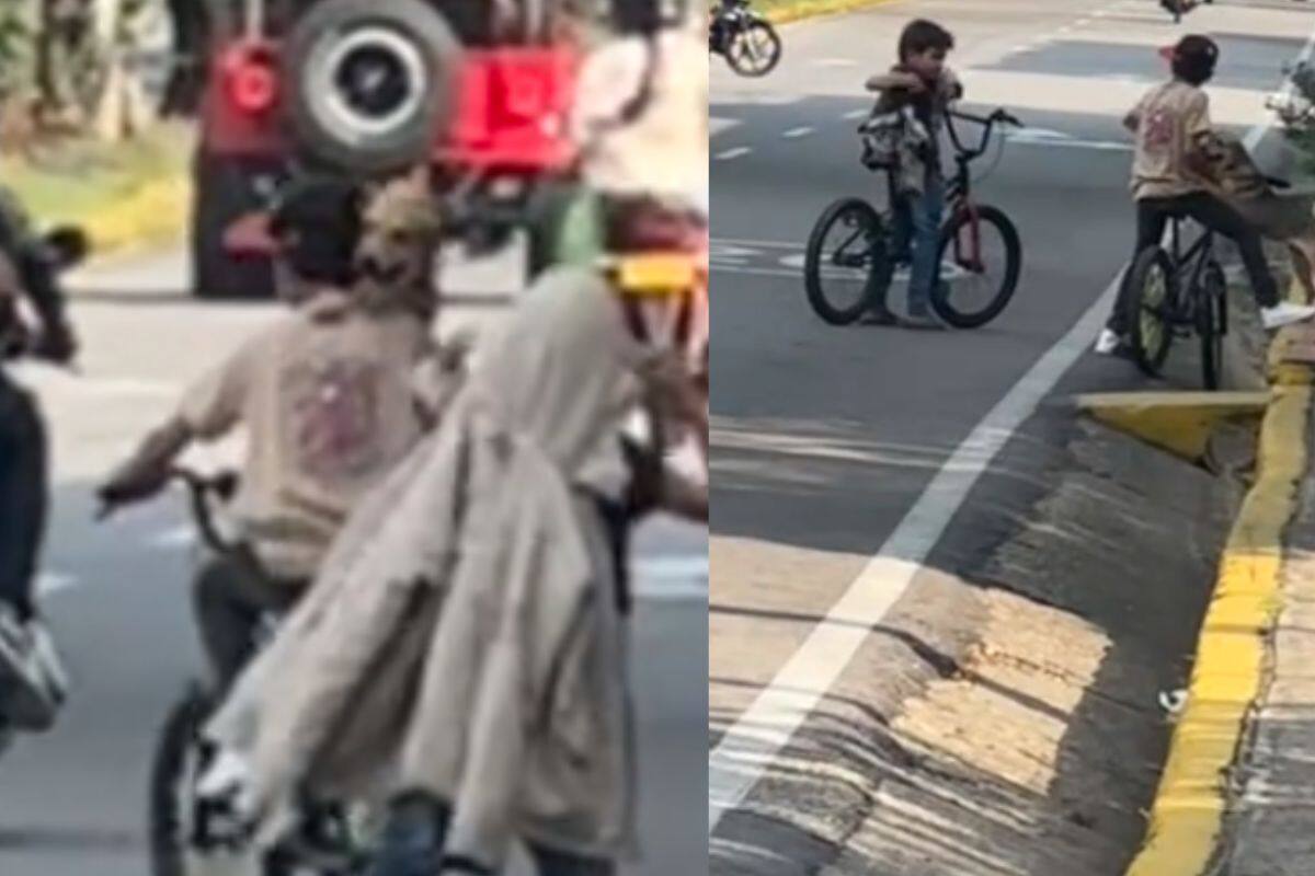 “No es la primera vez”: Niño se lleva a su perro en la bicicleta