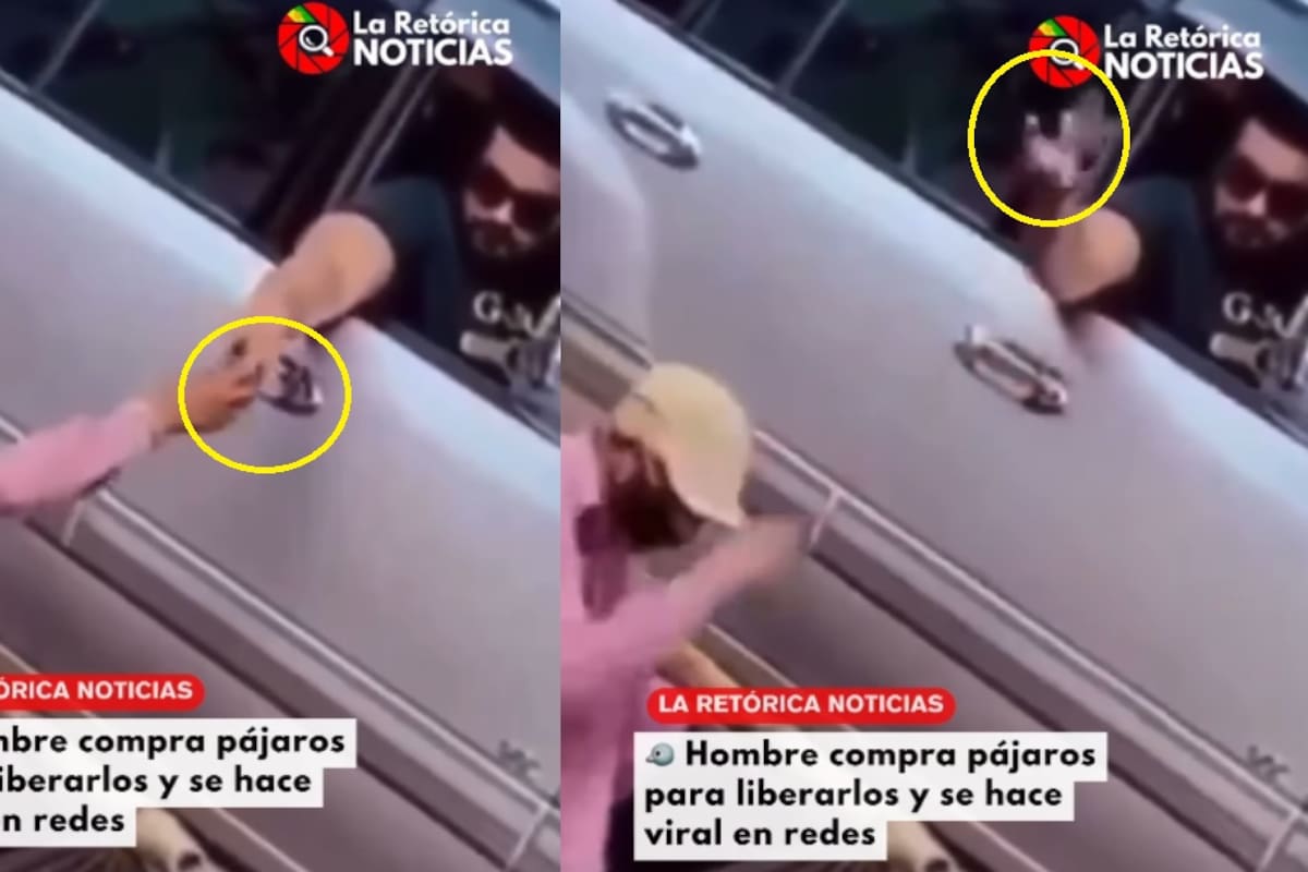 “Qué felicidad verlos libres”: hombre compra todos los pajaritos a un vendedor ambulante para liberarlos