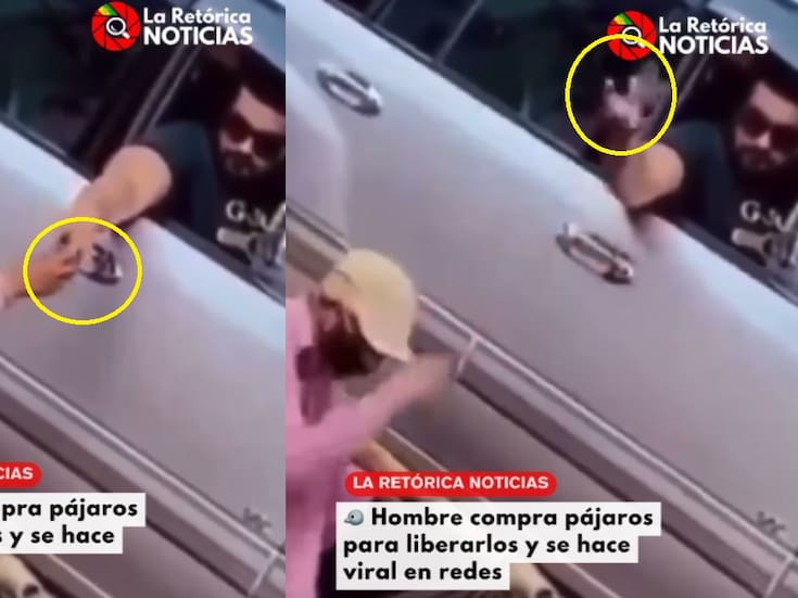 “Qué felicidad verlos libres”: hombre compra todos los pajaritos a un vendedor ambulante para liberarlos