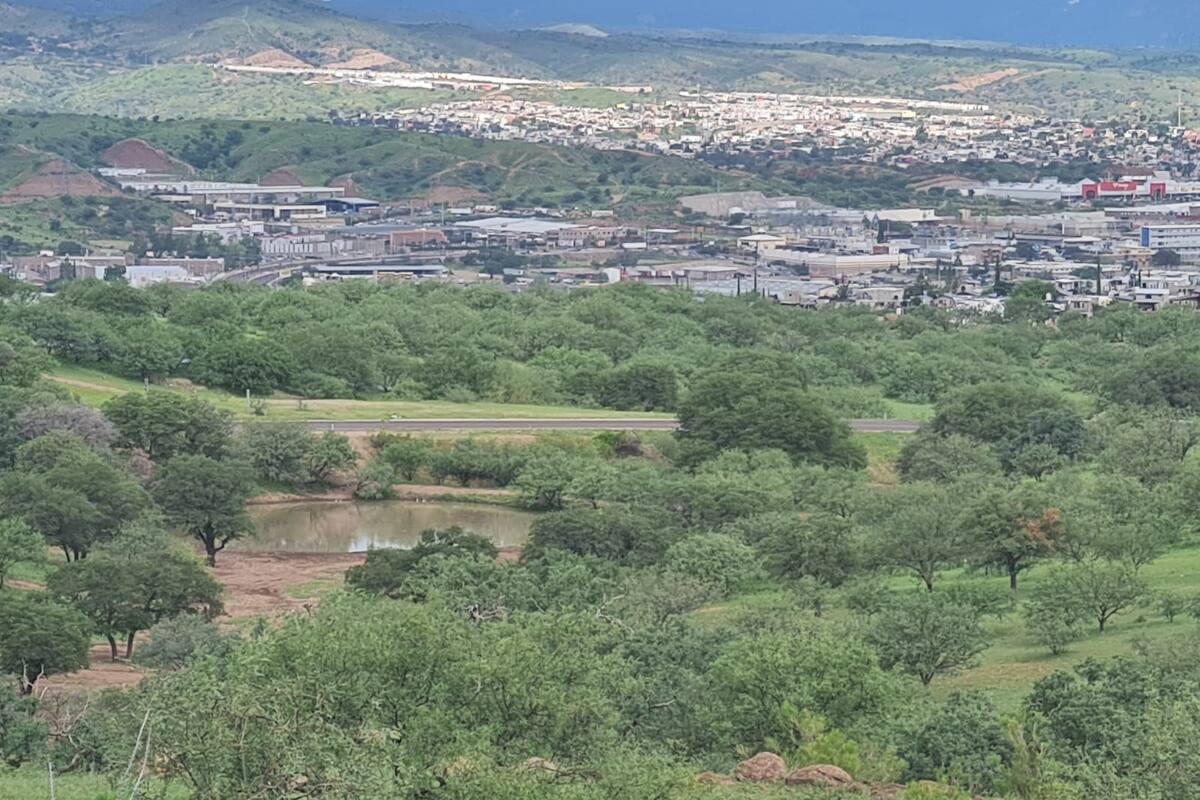 Clima en Sonora: Prevalecerá ambiente templado en zonas costeras y valores de entre 30 a 40°C en el Estado