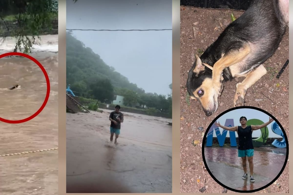 Amor y valentía en medio de tormenta Lorena: Giovanni, joven alamense, rescata heroicamente a su mascota de la corriente