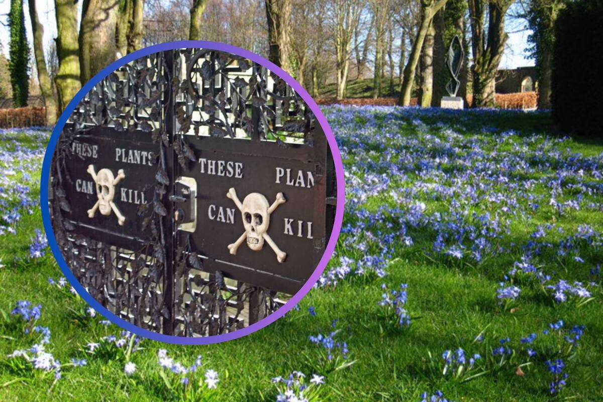 El Jardín Venenoso: Una atracción turística en Inglaterra que puede matar