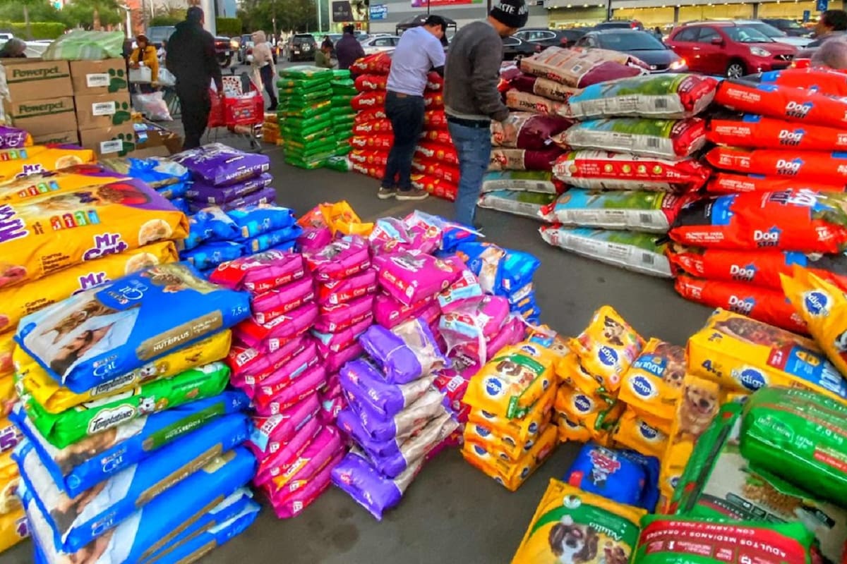 Realizarán Croquetón 2026 para apoyar a perros y gatos rescatados en Tijuana y Rosarito