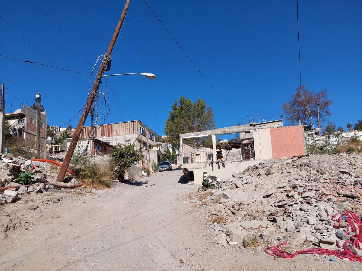 Cientos de casas en Camino Verde están rodeadas de maleza, así como por árboles y palmeras, cuyas ramas están al ras del cableado del alumbrado público.