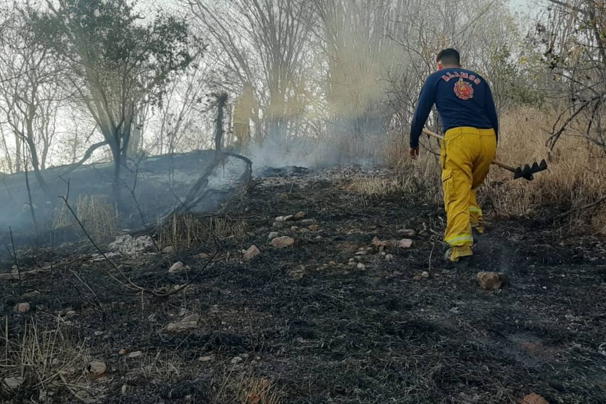 Buscan ejidatarios de Álamos evitar incendios forestales