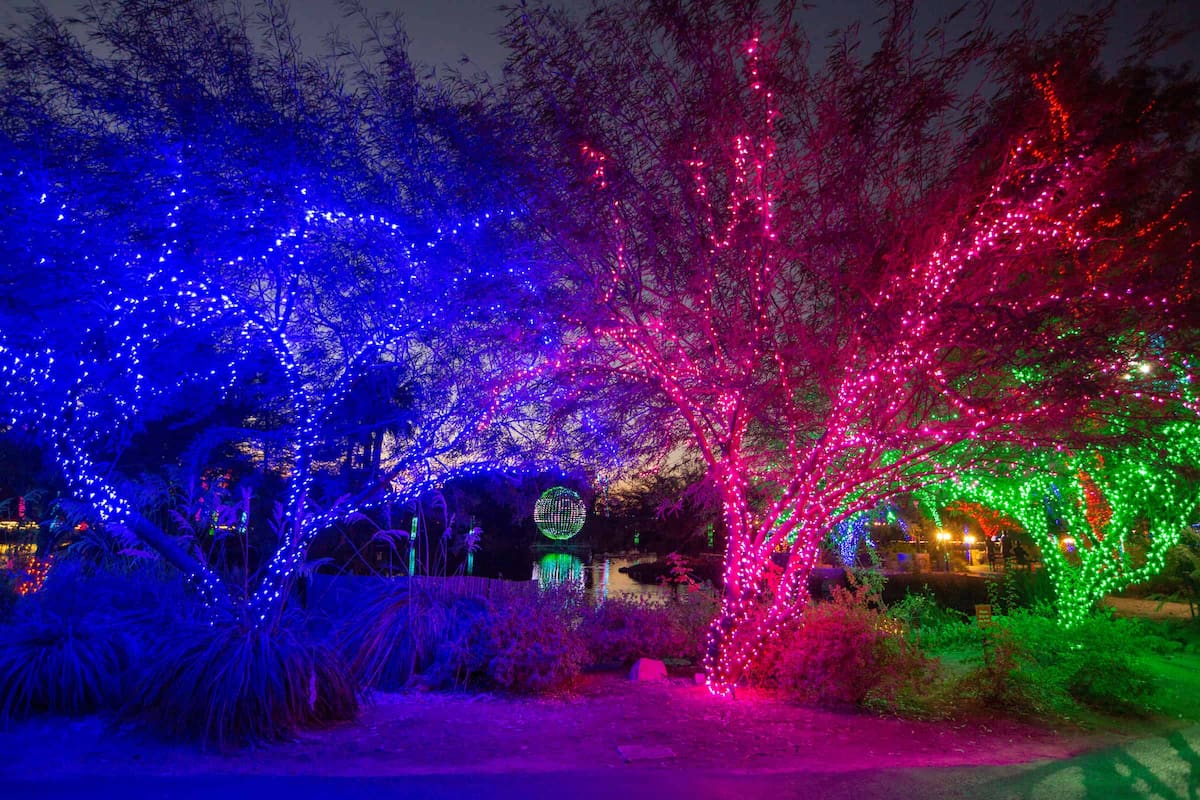 ZooLights en Phoenix Zoo: el espectáculo navideño de luces que ilumina Arizona en 2025