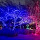 ZooLights en Phoenix Zoo: el espectáculo navideño de luces que ilumina Arizona en 2025