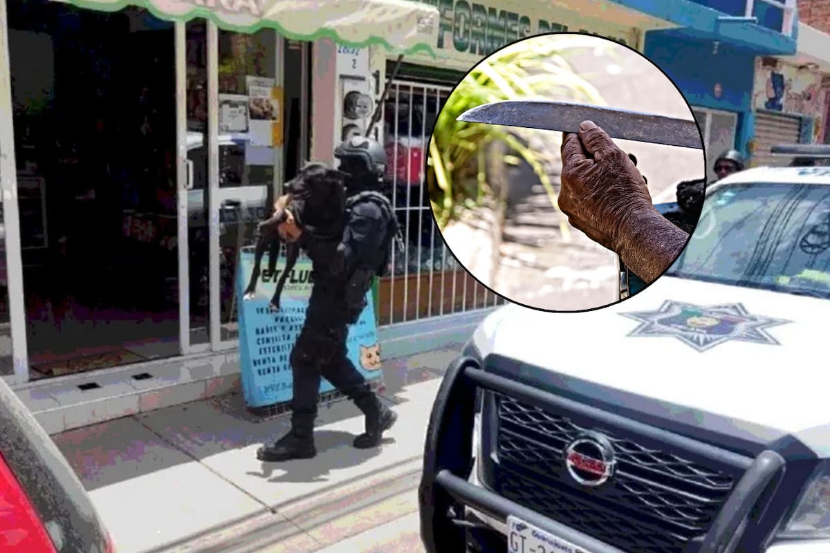 Perrita que defendía a sus cachorros es herida con un machete