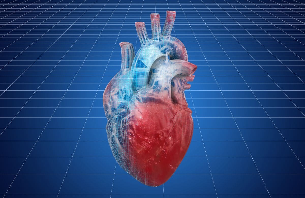 Estudio revela cuál ejercicio fortalece más el corazón entre nadar y correr | Foto: Especial (canva)
