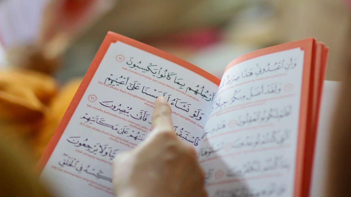 Esta es la rutina de un hombre que a sus 50 años comenzó a estudiar nueve idiomas y ahora puede ver películas, leer libros y sostener conversaciones en lenguas extranjeras