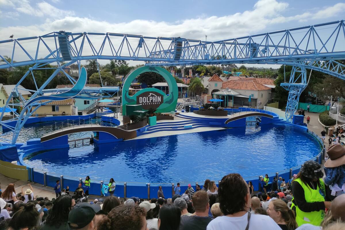 SeaWorld San Diego se une a los festejos de Día de Muertos y Halloween