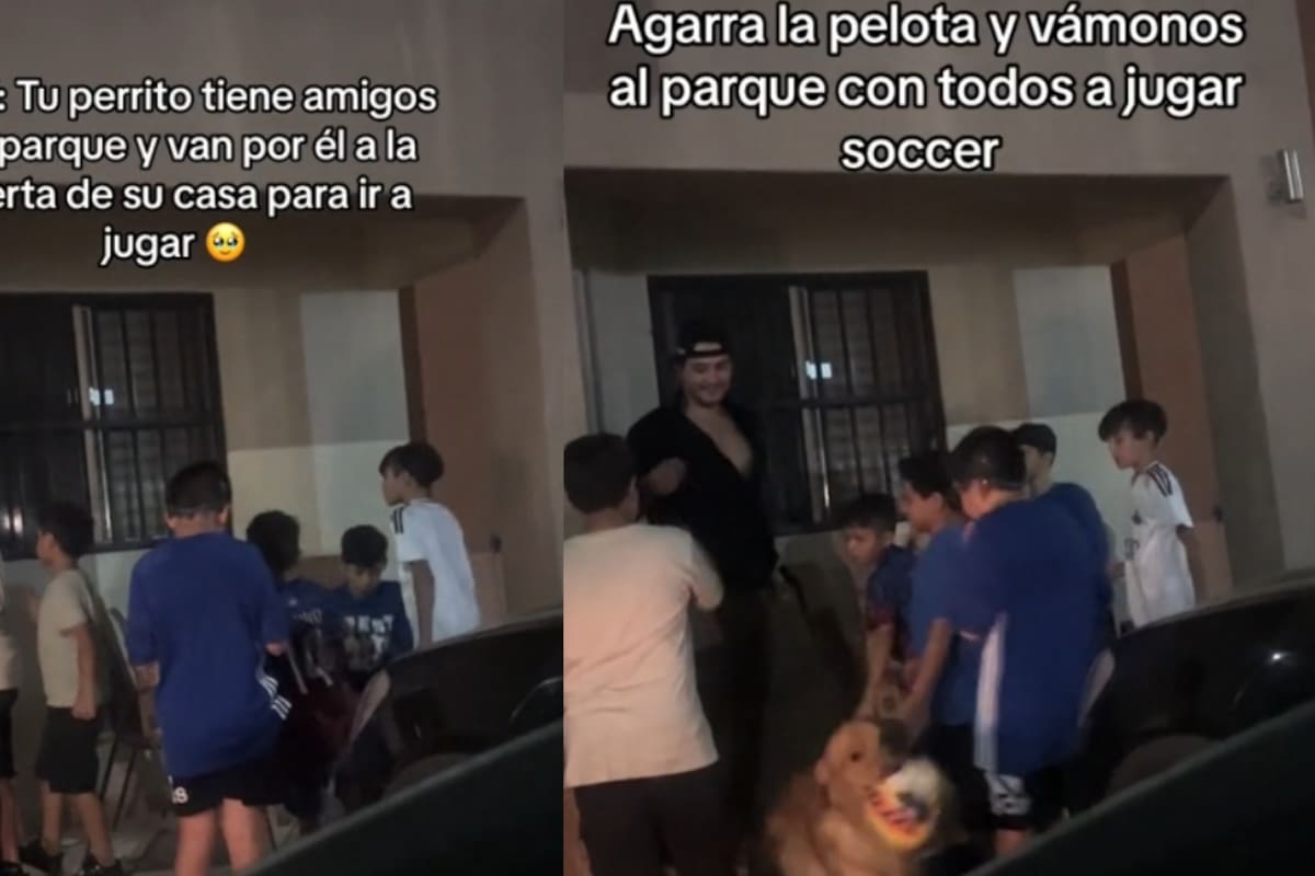 Dueño graba como van a buscar a su perro sus amigos del parque a la puerta de su casa