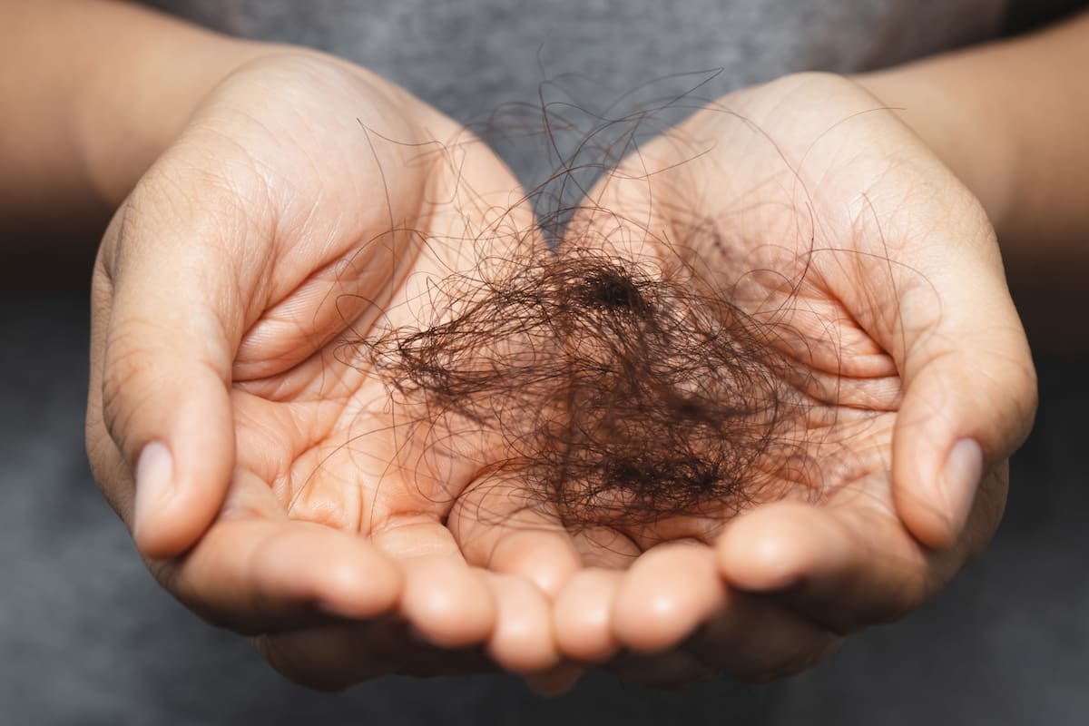 Cepillar el cabello mojado puede dañarlo: expertos advierten sobre riesgos invisibles