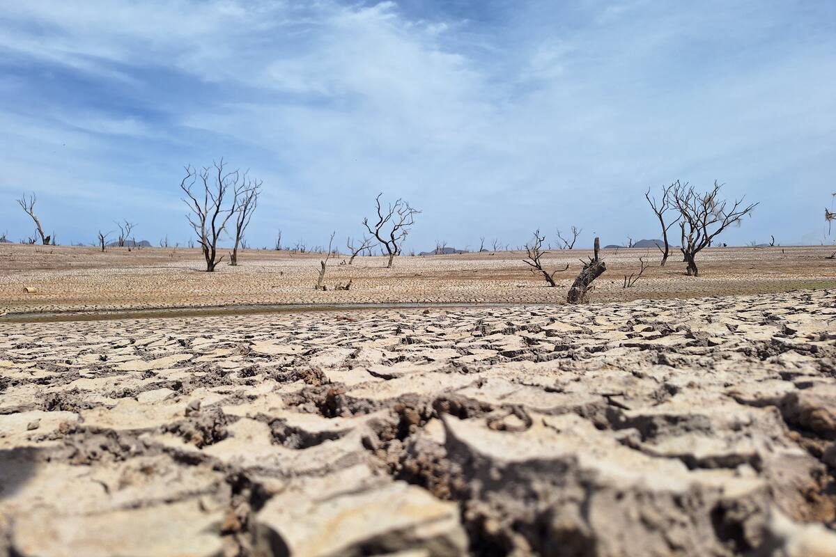 “Golpea” a México la sequía a nivel récord