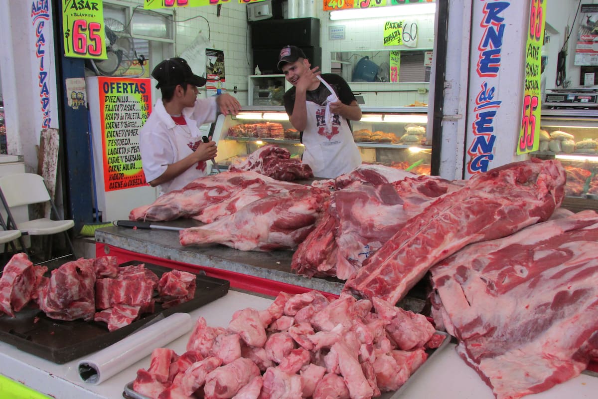 Afecta plaga del gusano barrenador a suministro de carne en México