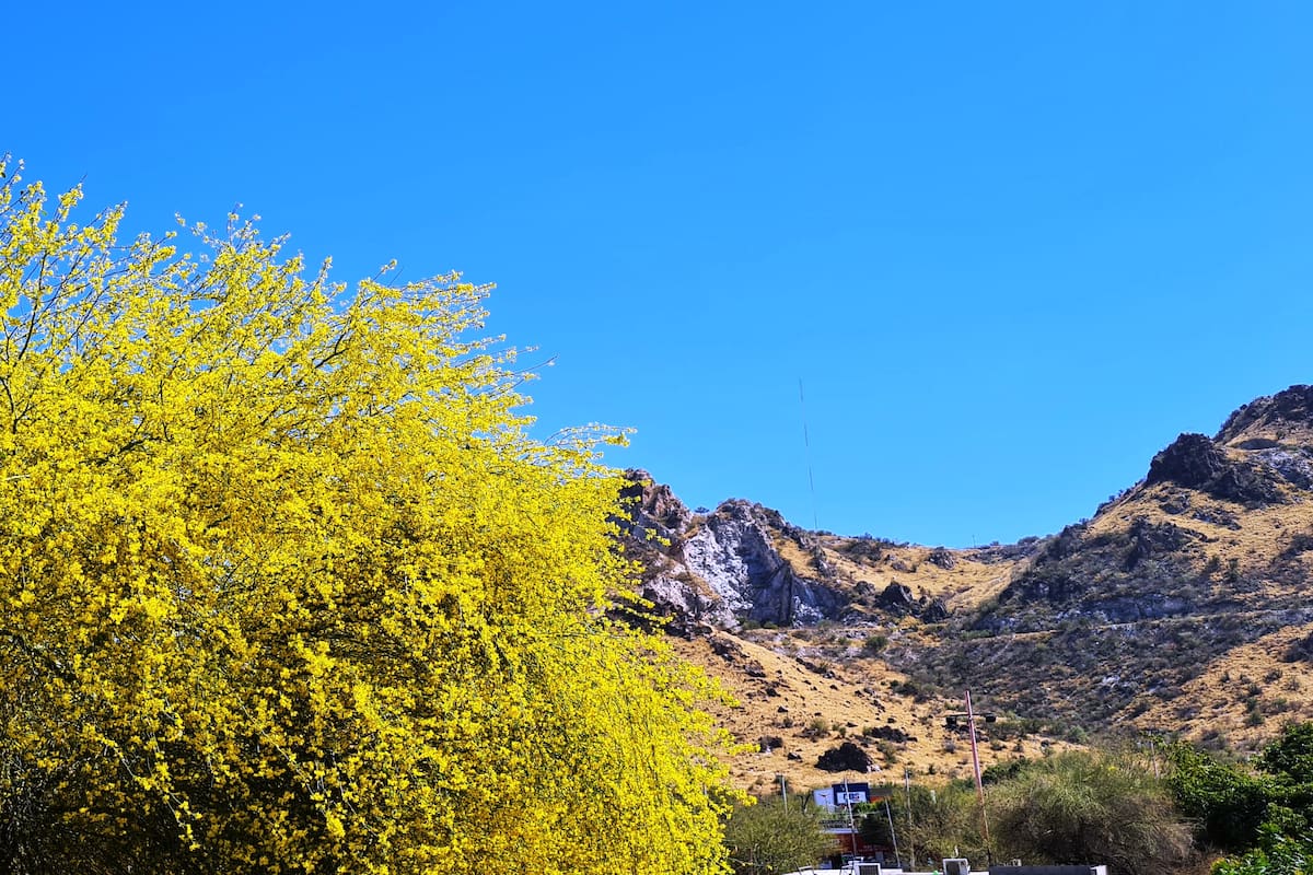 El Día de las Madres llegará con calor en Sonora y temperaturas de hasta 40°C
