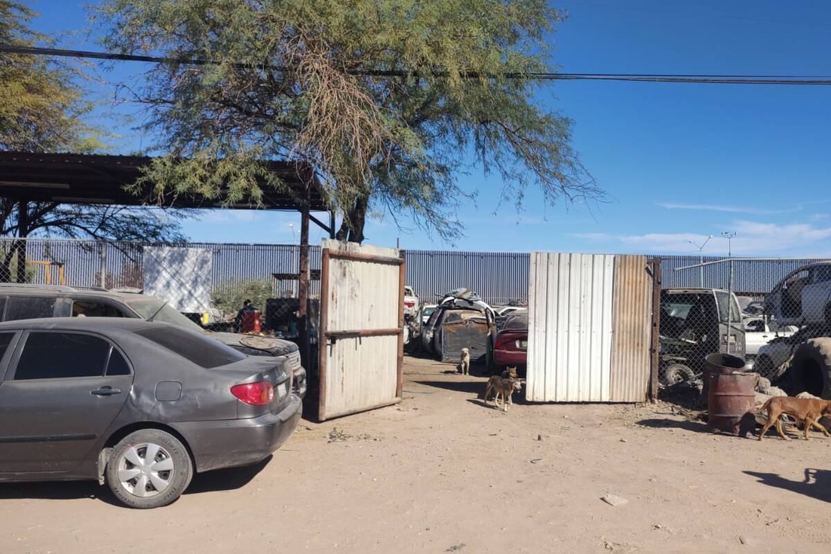 Detienen a hombre por robar Yonke