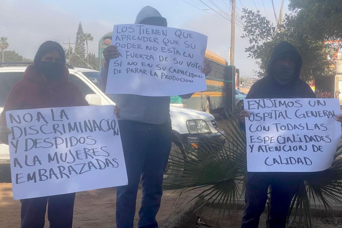 Despiden en San Quintín a jornaleros de la tercera edad