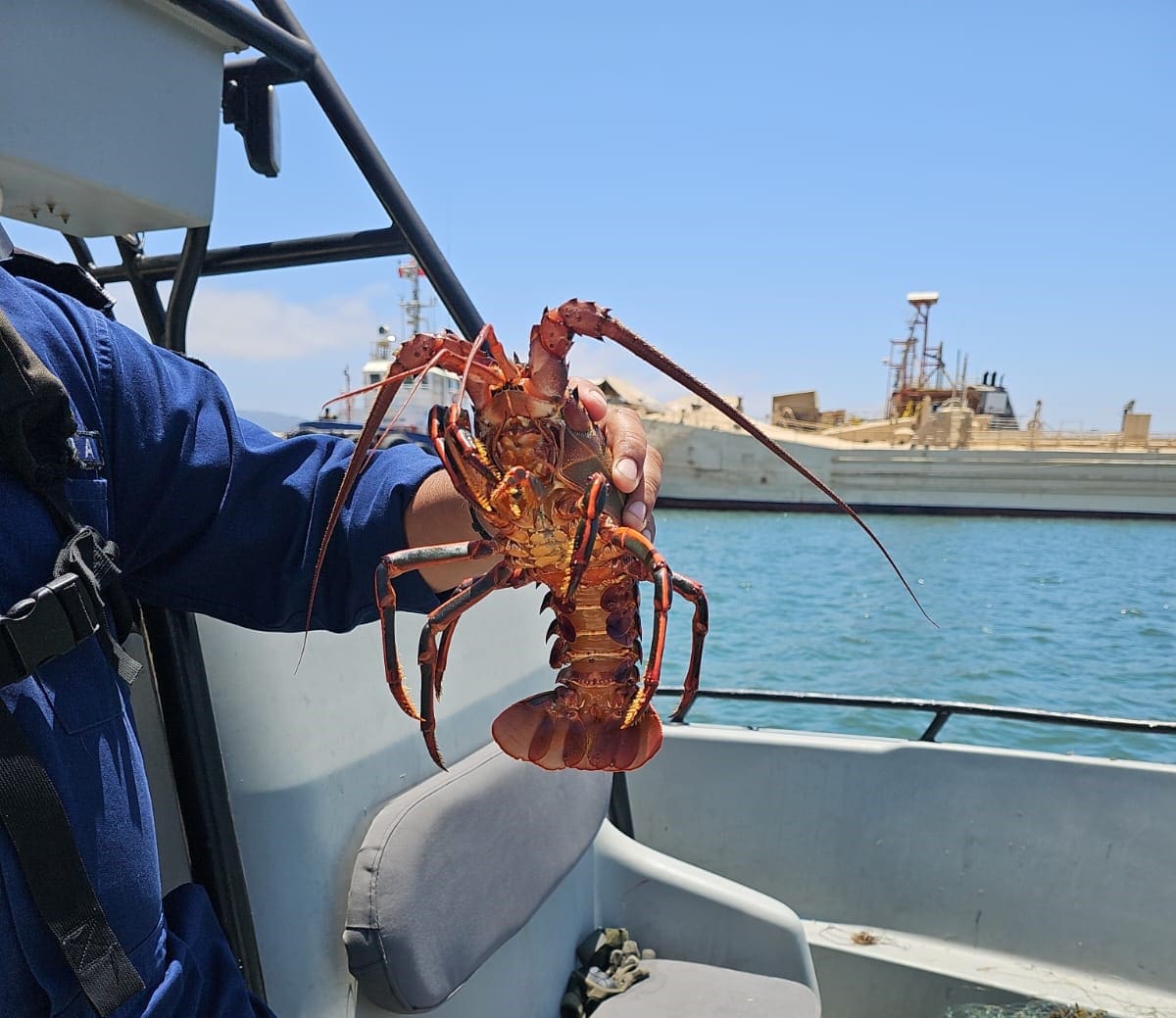Se trata de un esquema en el que grupos delictivos suplantan identidades de transportistas, obtienen asignaciones de carga y desvían mercancía de alto valor antes de llegar a su destino.