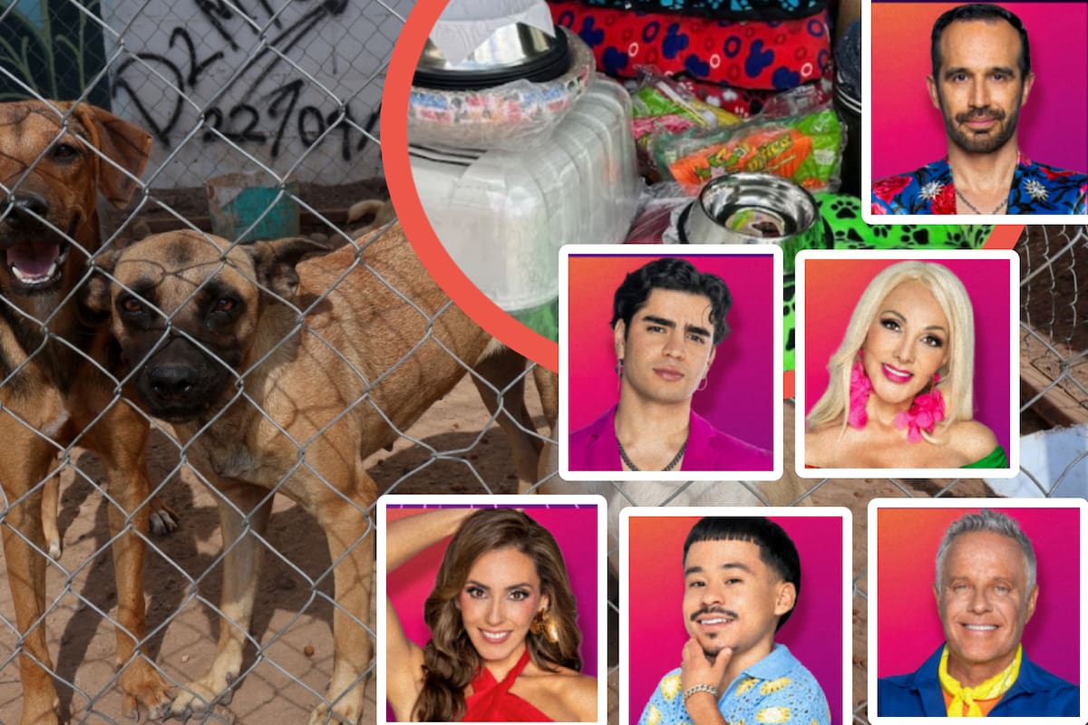 Team Noche de ‘La Casa de los Famosos México’ realizó donativo al albergue animal más grande de México; “promesa cumplida”