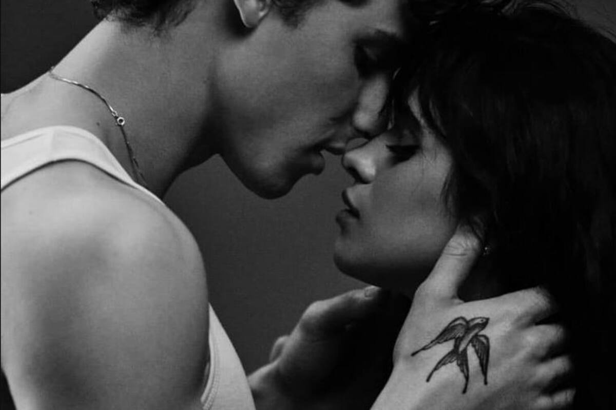 Camila Cabello habla de su relación con Shawn Mendes