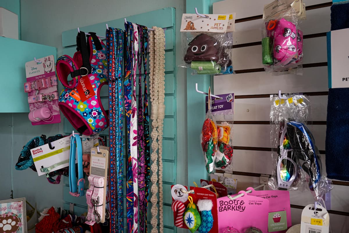 La emprendedora comentó que buscó ofrecer algo más personalizado, donde cada cliente pudiera elegir colores, temáticas y hasta personajes. Foto: Leonardo González