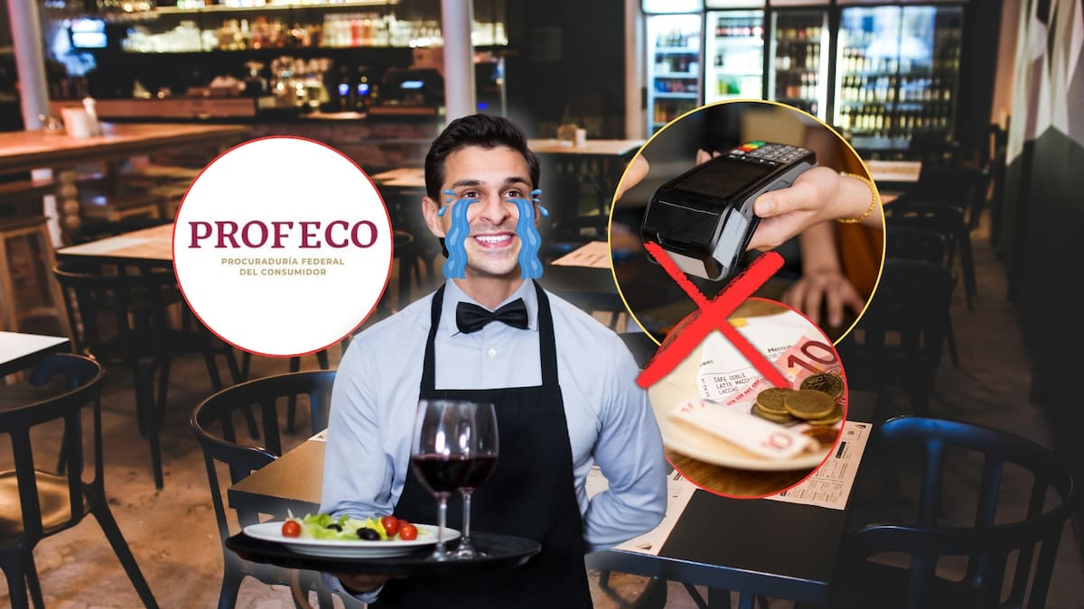 Adiós a las propinas en bares, restaurantes y cafés este 2026: Profeco alerta sobre las reglas que prohíben a los meseros cobrar extra a los consumidores