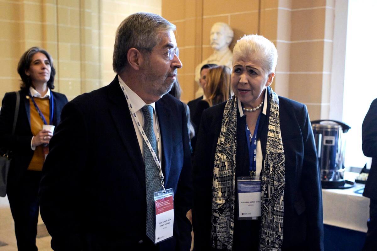 El secretario de Relaciones Exteriores de México, Juan Ramón de la Fuente, habla este lunes, con la representante permanente del país ante la Organización de los Estados Americanos (OEA), Luz Elena Baños, a su llegada a una sesión extraordinaria de la Asamblea General del organismo para elegir a su nuevo secretario general en Washington.