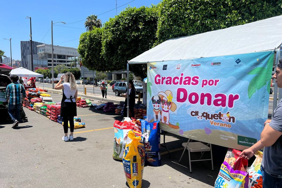 Realizan nueva edición de Croquetón