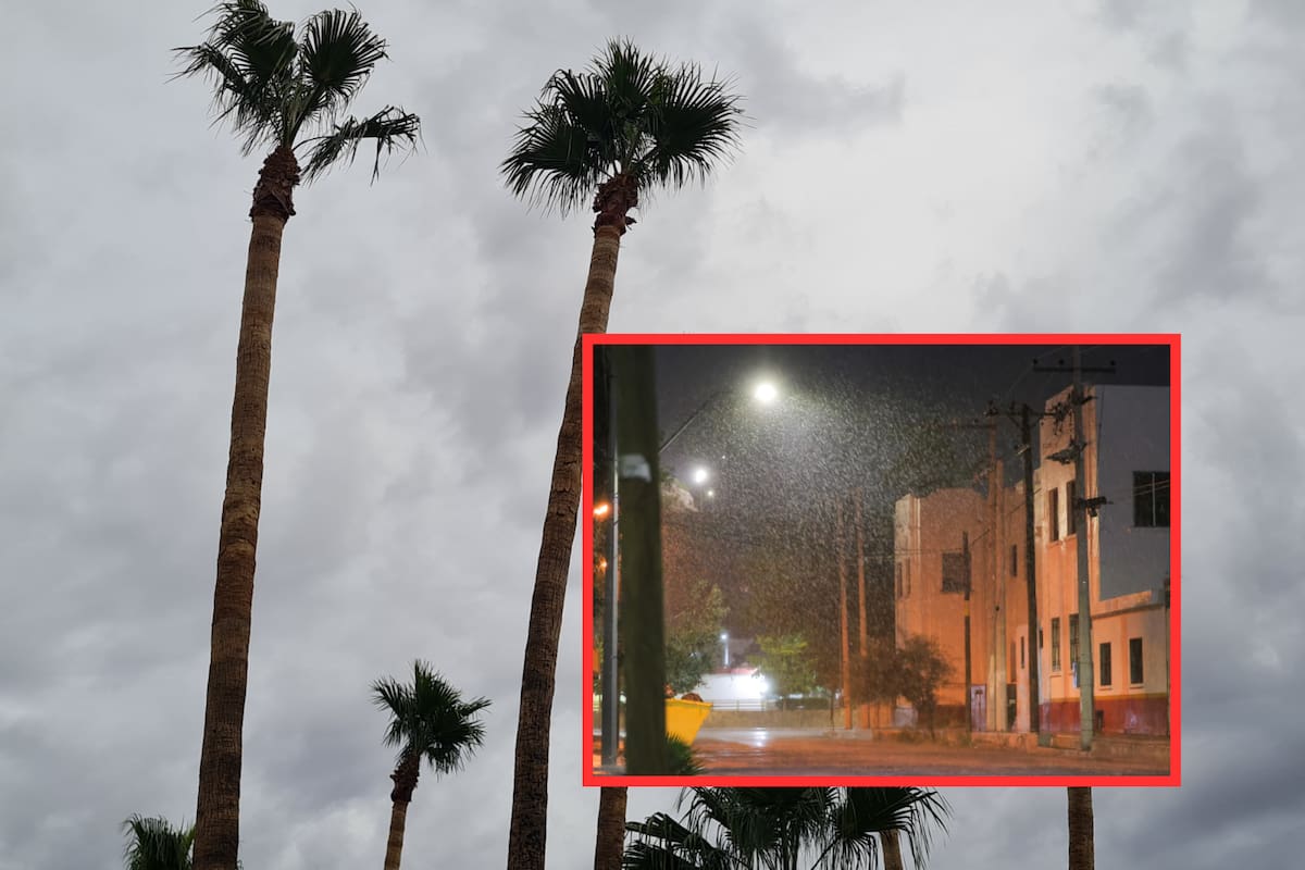 Frente Frío 5 ingresa al Norte; Tormentas y lluvias torrenciales azotarán a México hoy, ¿qué estados serán afectados?