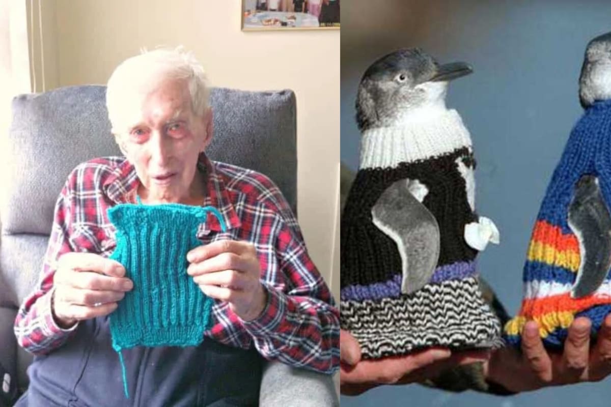 Hombre de más de 110 años pasó sus últimos años tejiendo suéteres a crochet para pingüinos: esta es su historia