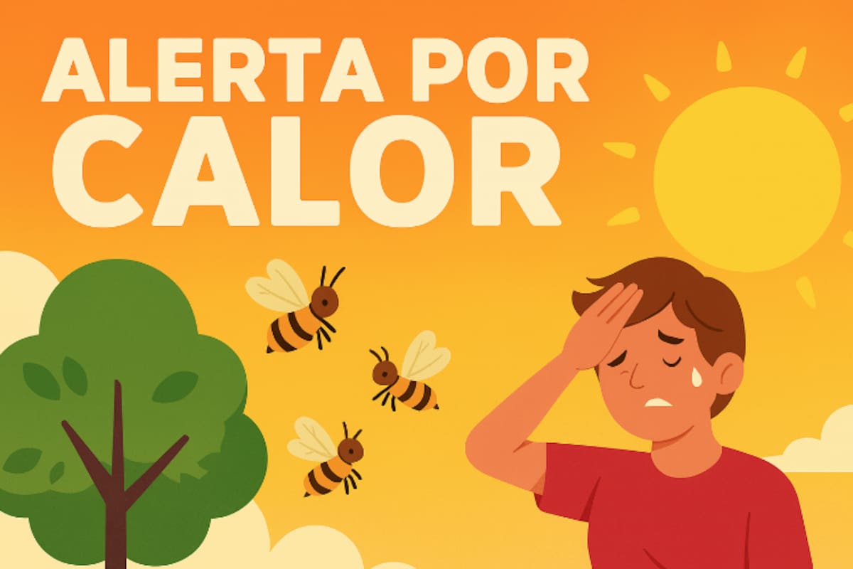 Alerta por calor extremo en Sonora: advierten riesgo de golpe de calor y enjambres de abejas