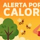Alerta por calor extremo en Sonora: advierten riesgo de golpe de calor y enjambres de abejas