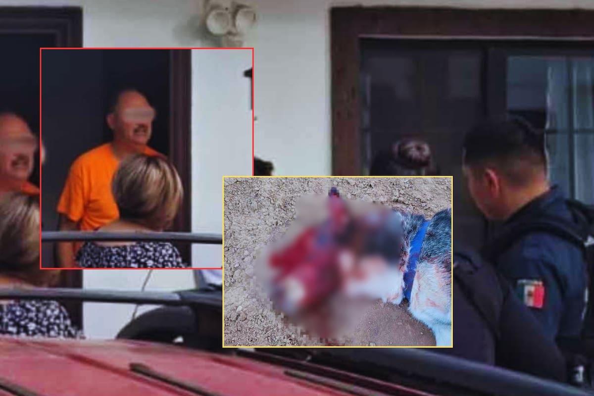 IMÁGENES FUERTES: Vecino “problemático” mató brutalmente a puñaladas a un perro sin motivo alguno en Ciudad Juárez